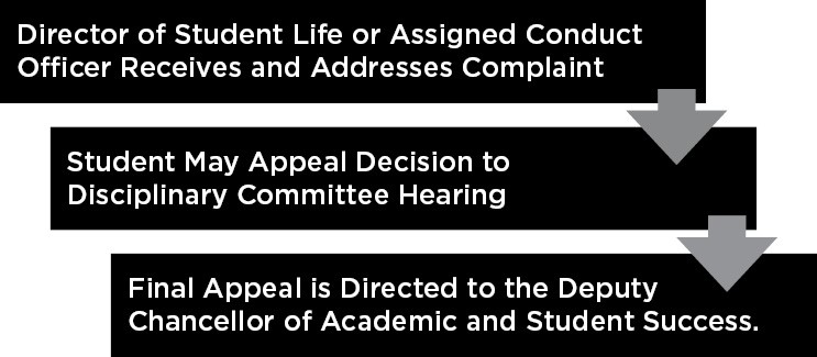 Non-Academic Discipline Process